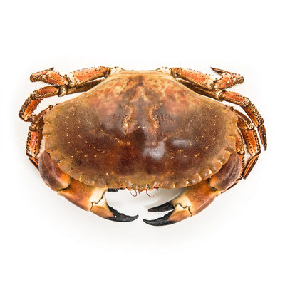 Taskekrabbe hel