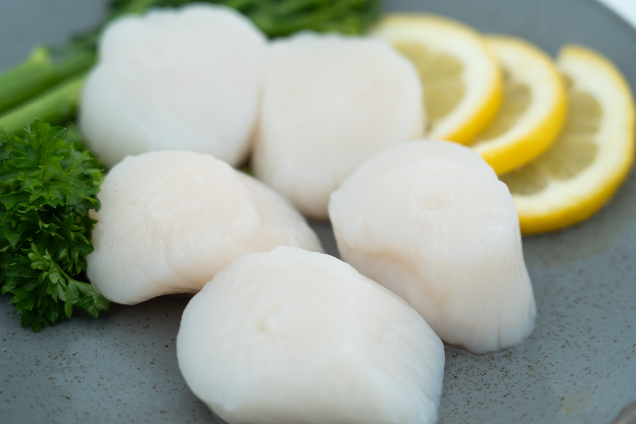 Kamskjell Kvalitet — frossen skalldyr fra Fiskehandleren 2