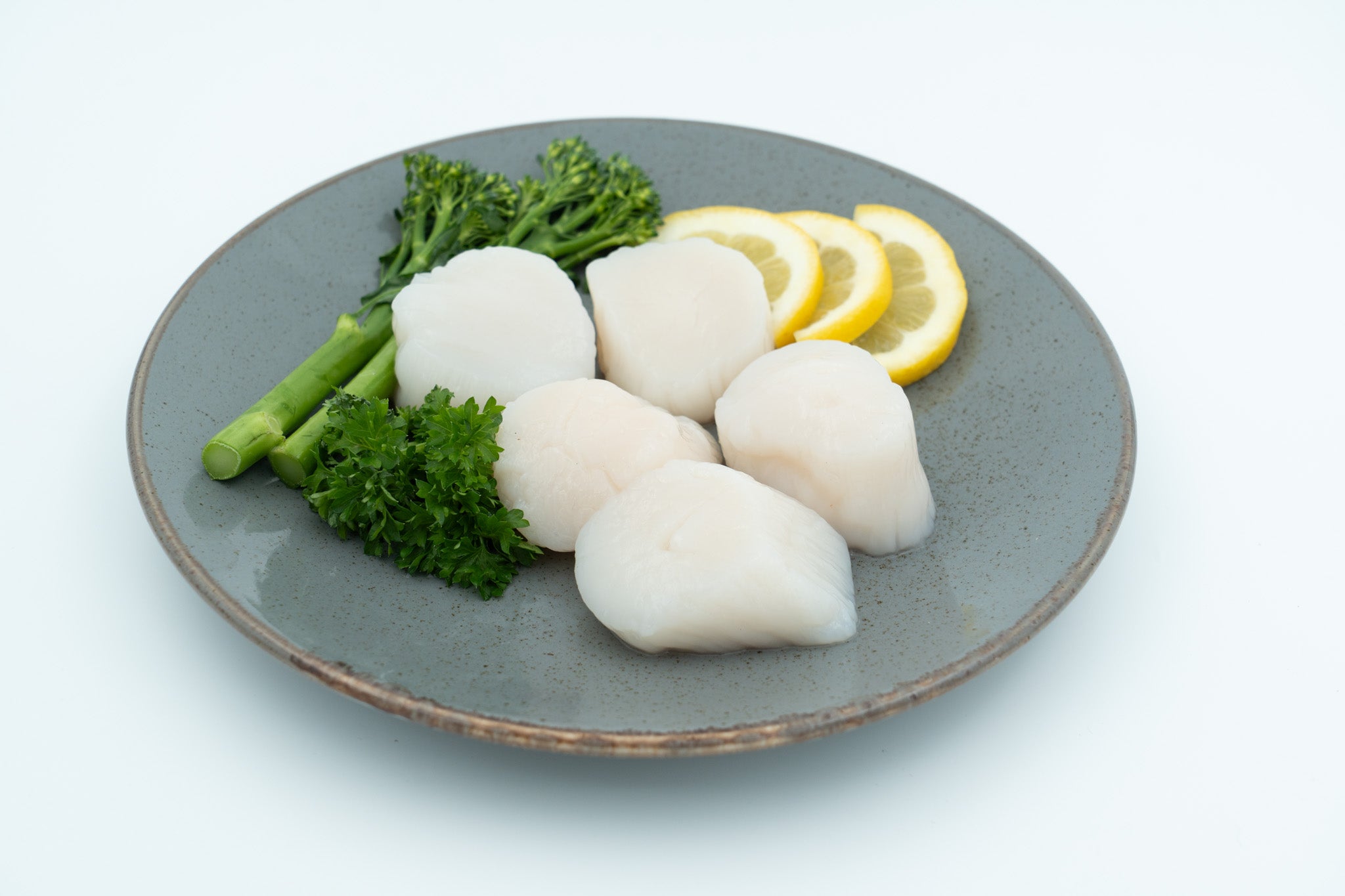 Kamskjell Kvalitet — frossen skalldyr fra Fiskehandleren 1