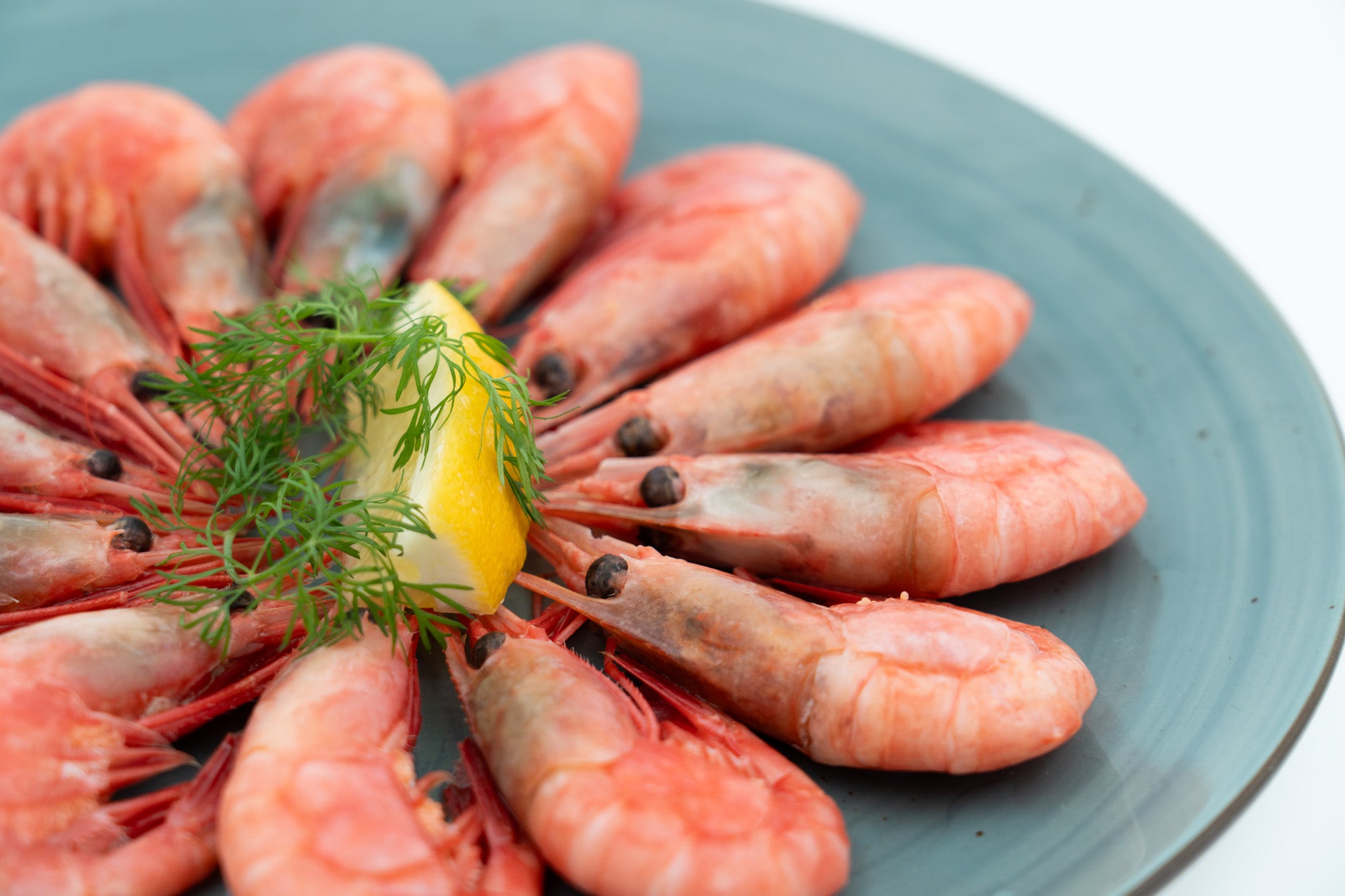 XXL Grønlandsreker 40/60 — frossen skalldyr fra Fiskehandleren 1