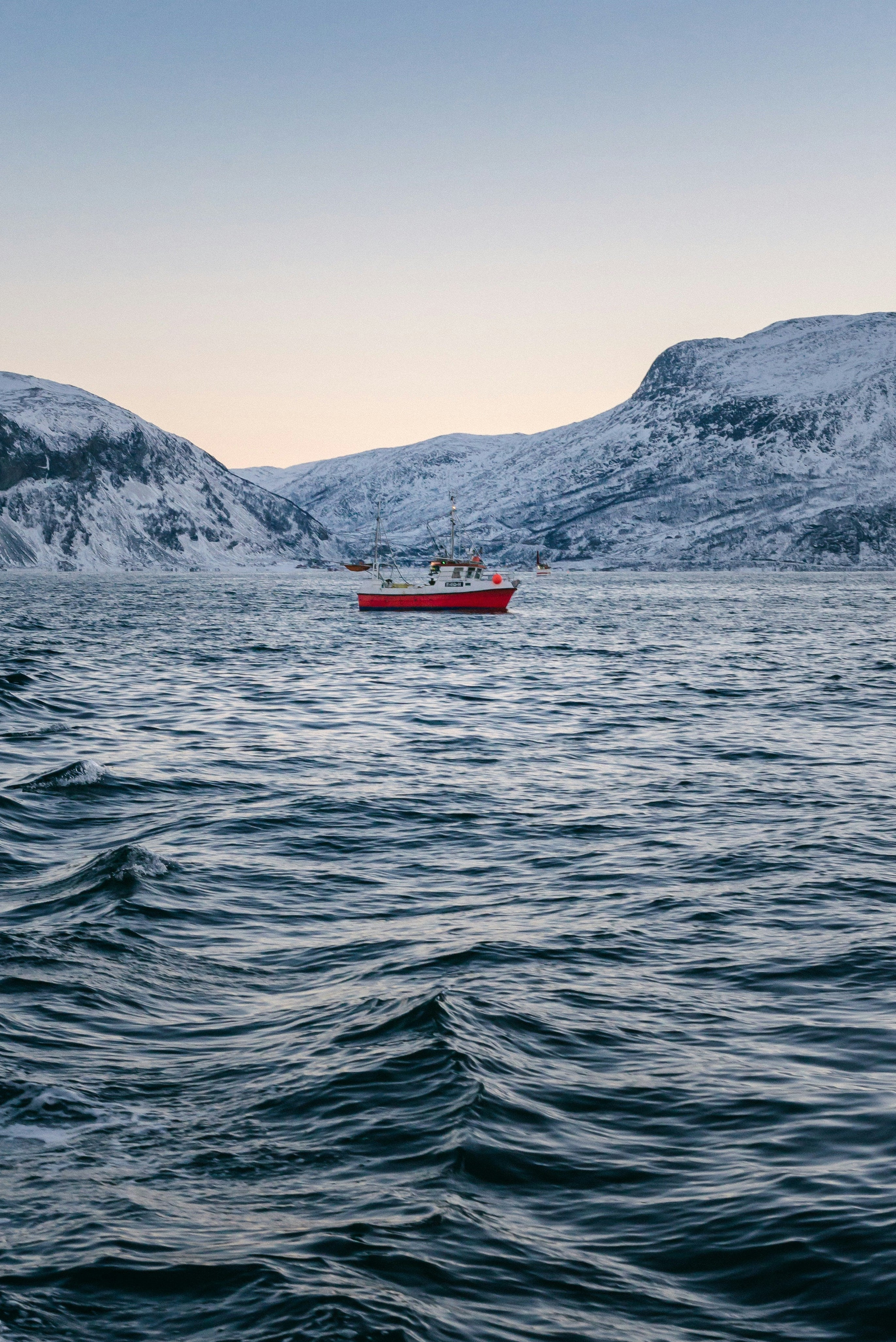 Fersk frossen kvalitetsfisk klar for levering