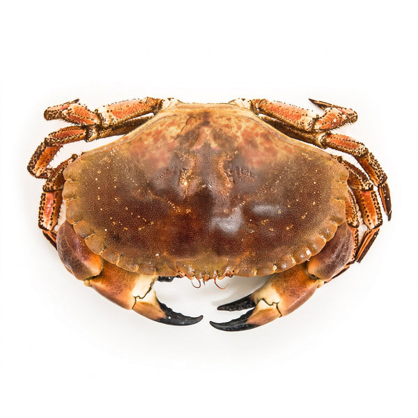 Taskekrabbe hel